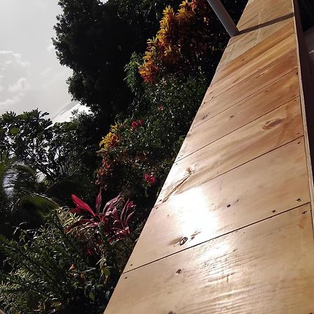 "Sunrise Inn" Nature Island Dominica Penville المظهر الخارجي الصورة