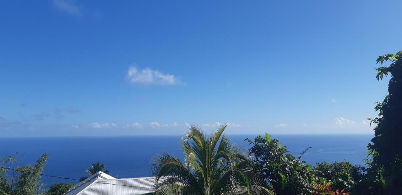 "Sunrise Inn" Nature Island Dominica Penville المظهر الخارجي الصورة
