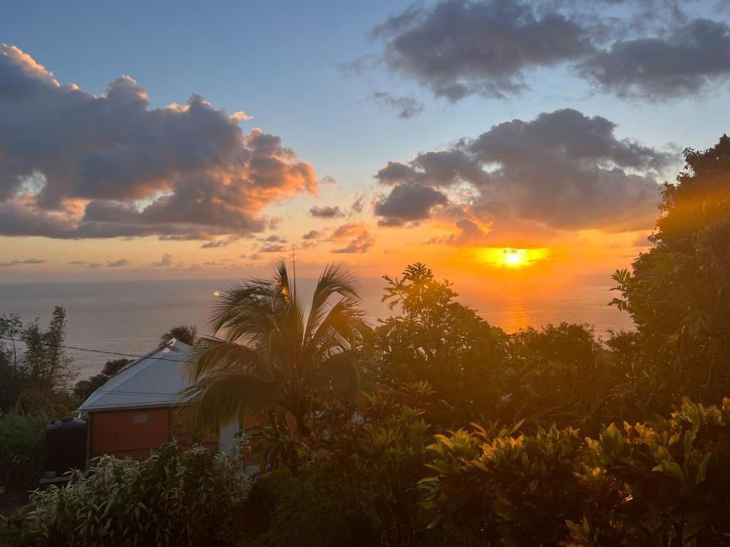 "Sunrise Inn" Nature Island Dominica Penville المظهر الخارجي الصورة