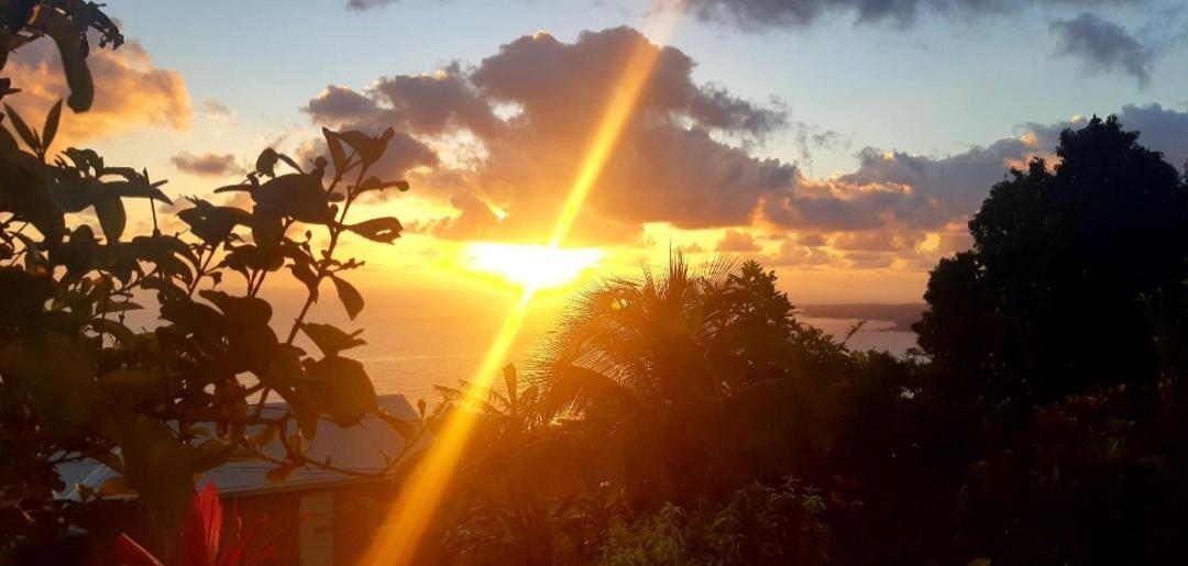 "Sunrise Inn" Nature Island Dominica Penville المظهر الخارجي الصورة