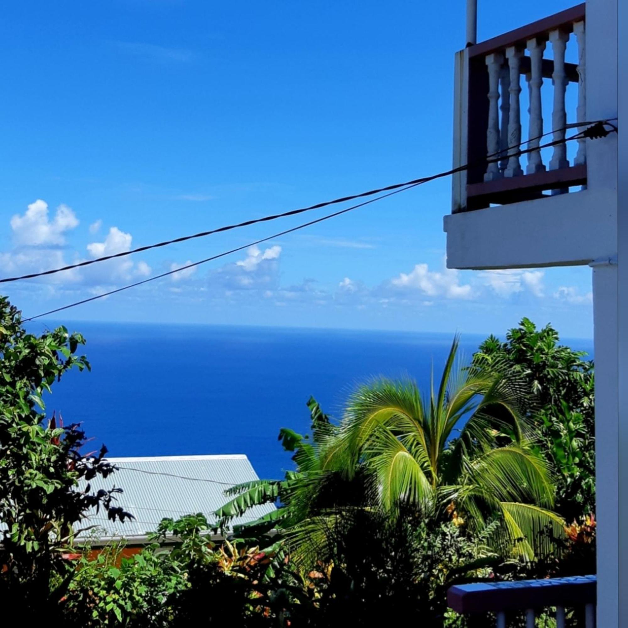 "Sunrise Inn" Nature Island Dominica Penville المظهر الخارجي الصورة